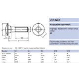 KAPUPÁNTCSAVAR M08*030 DIN 603-A2 INOX  METRIKUS CSAVAROK