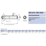 HERNYÓCSAVAR BK M6*6 DIN 916-45H NAT. BELSŐKÚPOS  METRIKUS CSAVAROK